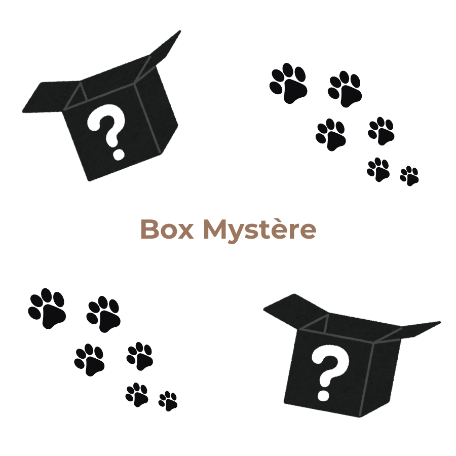 Box mystère de mastication 🎁