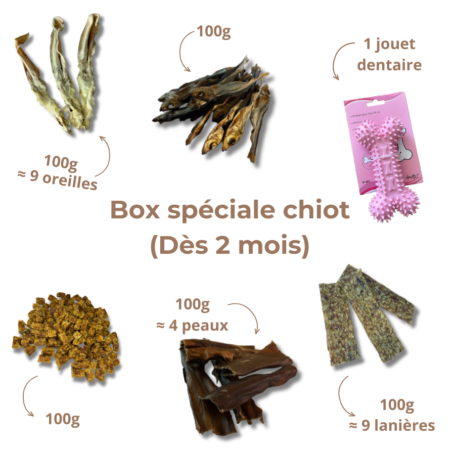 Box de Mastication Spéciale Chiot – Dès 2 Mois