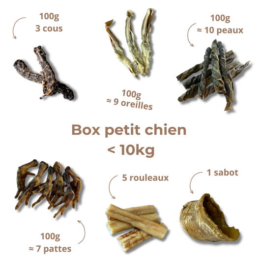 Box de mastication petit chien – Moins de 10 kg