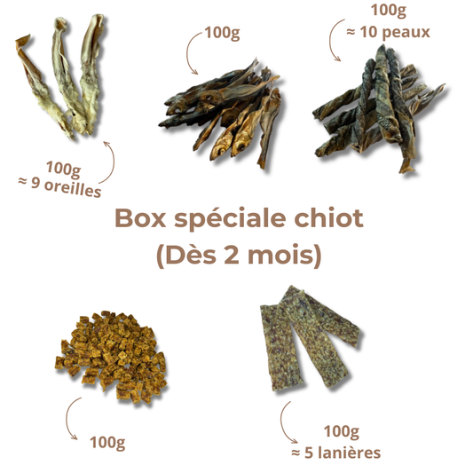 Box de mastication chiot - Dès 2 mois