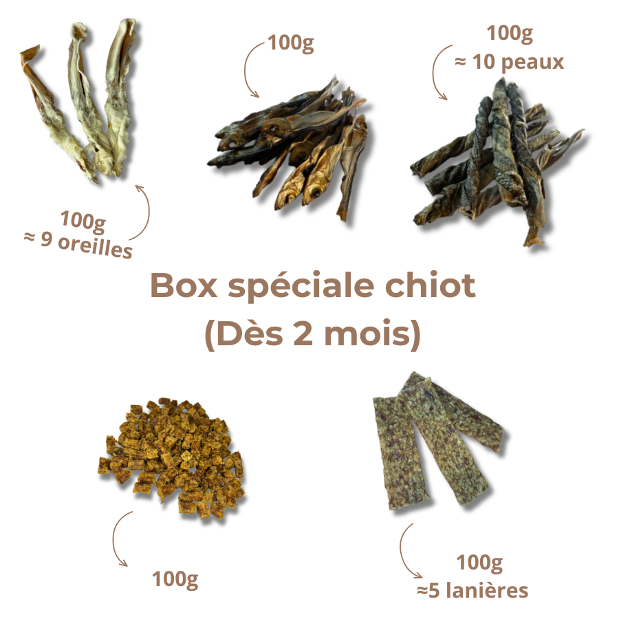 Box de mastication chiot - Dès 2 mois