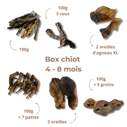 Box de mastication chiot – De 4 à 8 mois