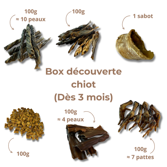 Box de Découverte pour Chiot - Mastications Naturelles