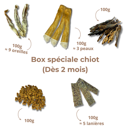 Box de mastication chiot - Dès 2 mois