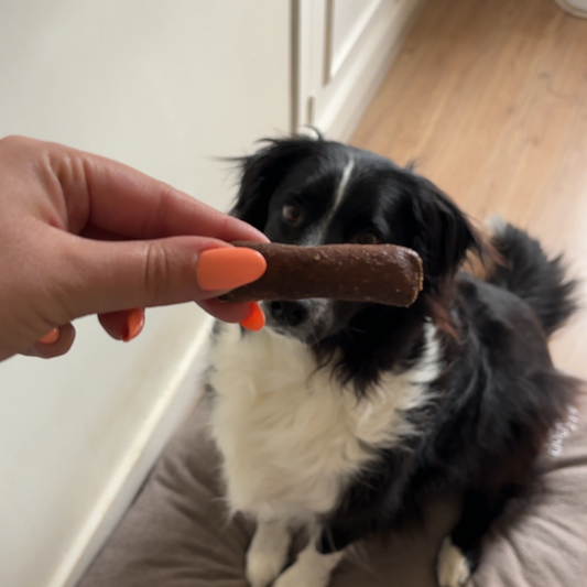 Chicken and Sweet Potato Sticks - For dogs