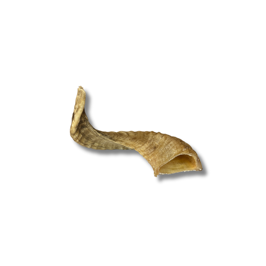 Sheep horn - Long chew for dogs