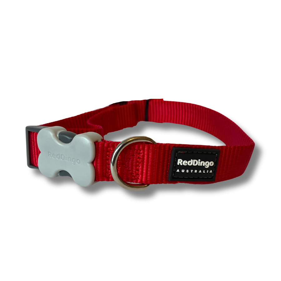 Adjustable Collar for Puppy and Dog