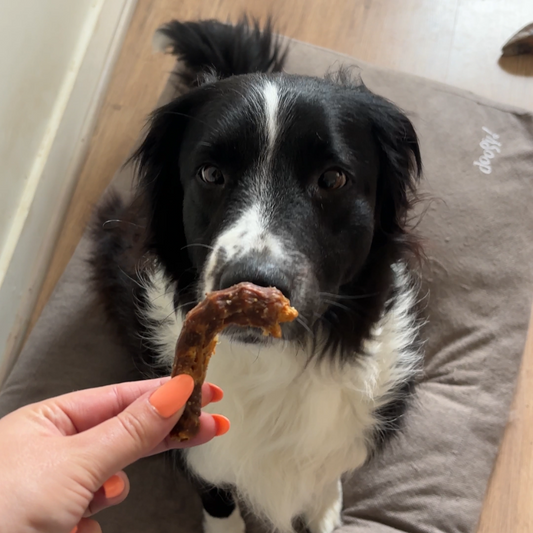 Cous de poulet séchés - Mastication pour Chiens & Chats