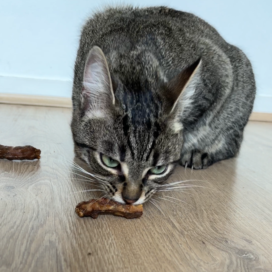 Cous de poulet séchés - Mastication pour Chiens & Chats