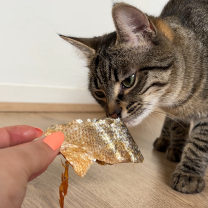 Salmon Skins for Dogs &amp; Cats