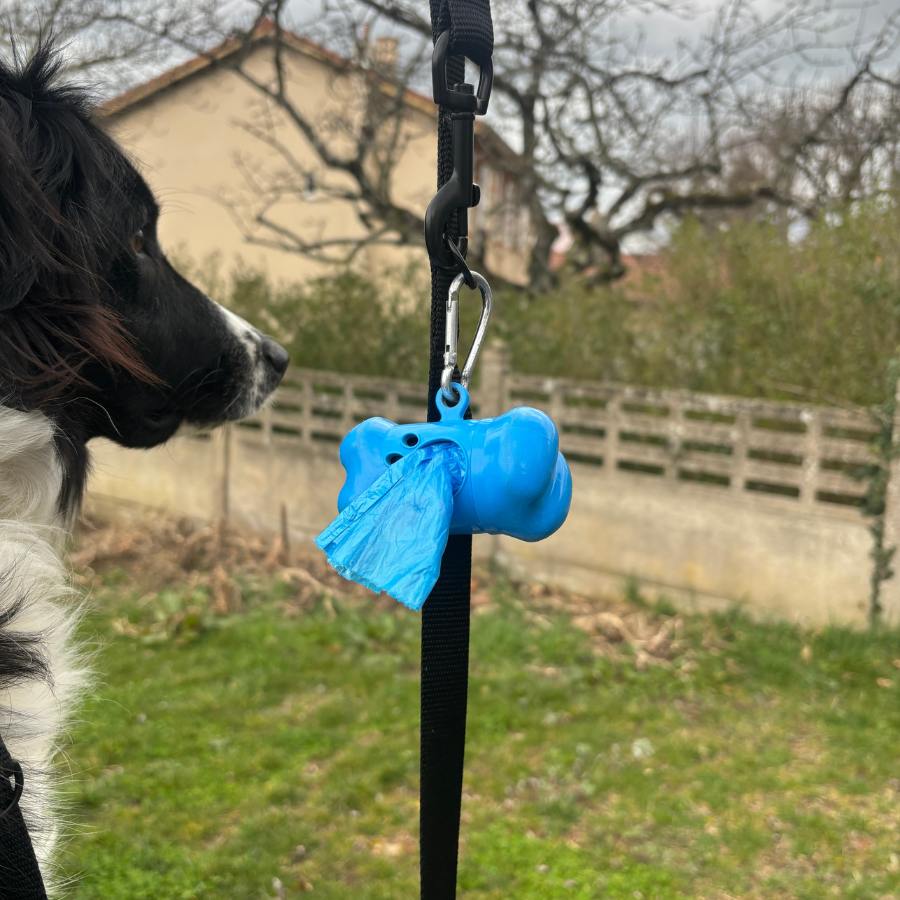 Distributeur de Sac à Crotte