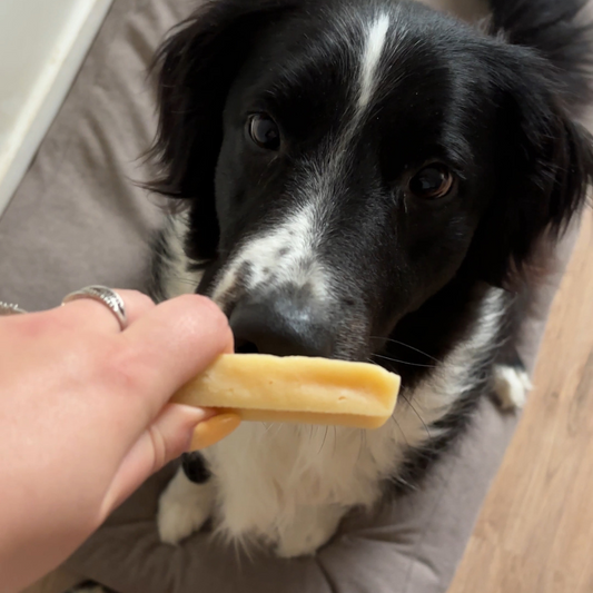 Cheese stick: Cheese bone