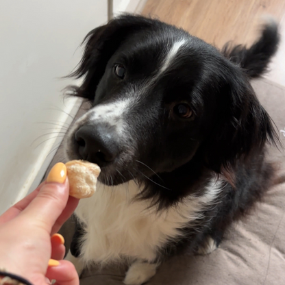 Stick de fromage : Cheese bone