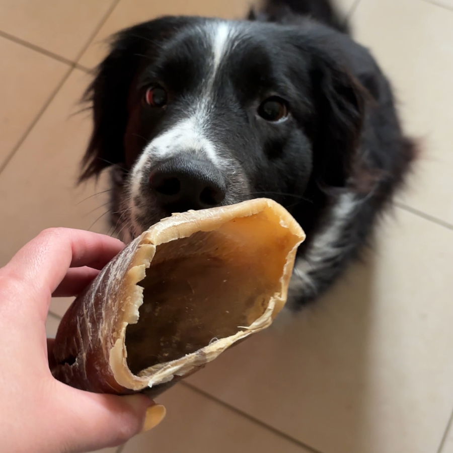 Beef Hoof: Long Chew for Dogs