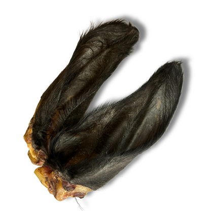 Ox Ear with Hair: Medium Duration Dog Chewing