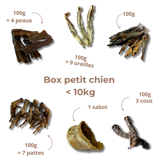 Box de mastication petit chien – Moins de 10 kg