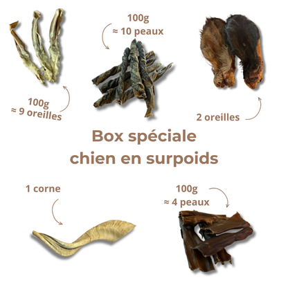 Box Spéciale "Chien en Surpoids"
