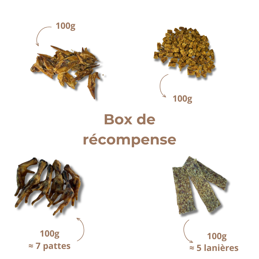 Box de Récompenses