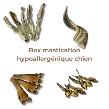 Box Mastication Hypoallergénique pour Chiens