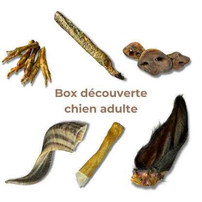 Natural Chew Discovery Box for Adult Dogs