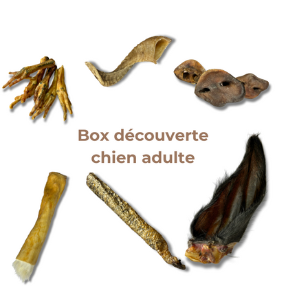 Box Découverte Mastication Naturelle pour Chiens Adultes