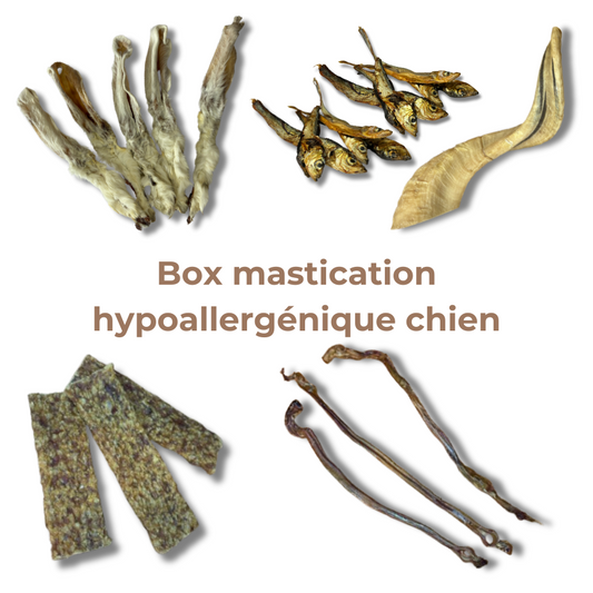 Box Mastication Hypoallergénique pour Chiens