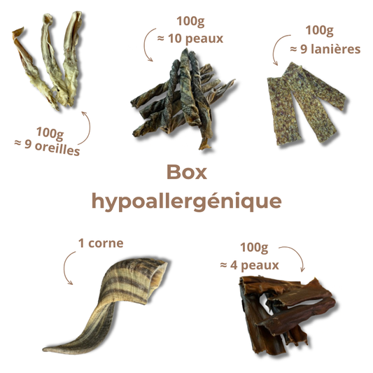 Box Mastication Hypoallergénique pour Chiens