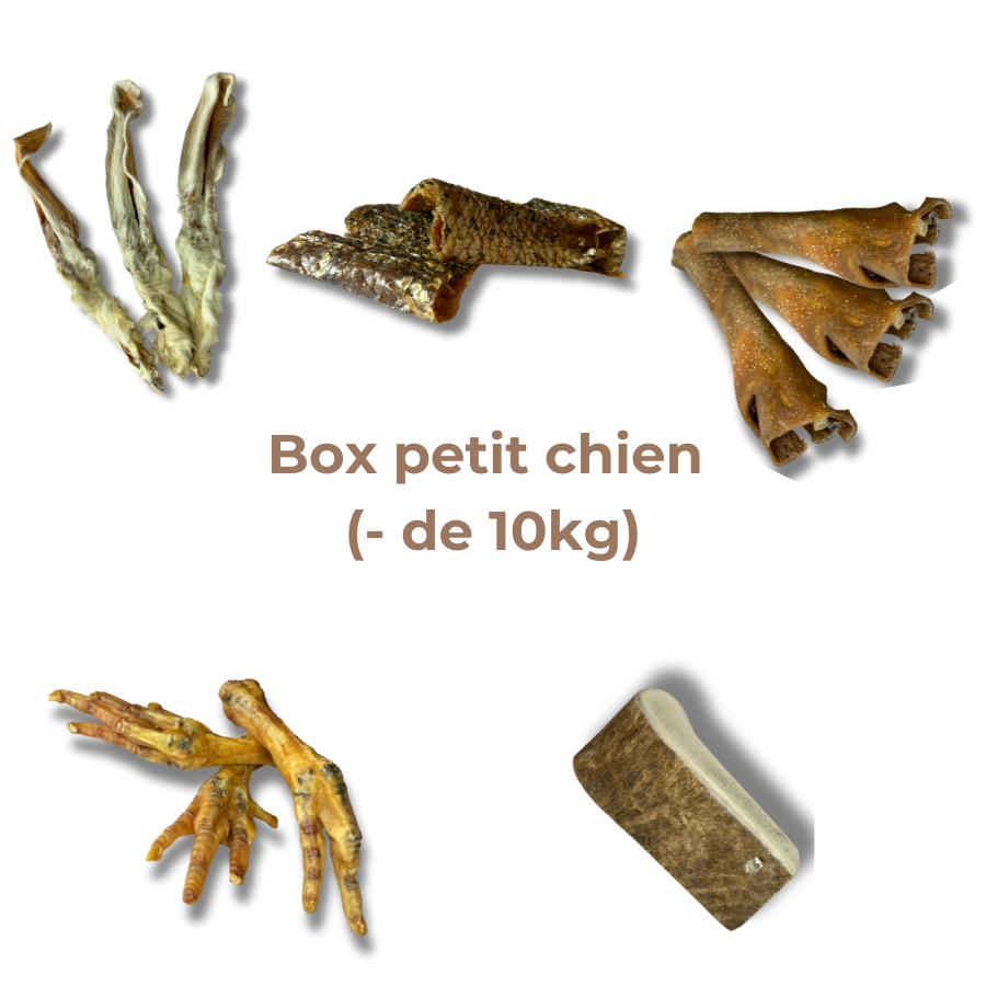 Box de mastication "Petit chien"