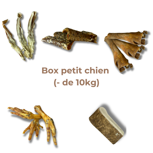 “Little dog” chew box