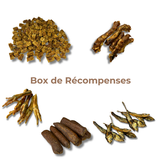 Box de Récompenses