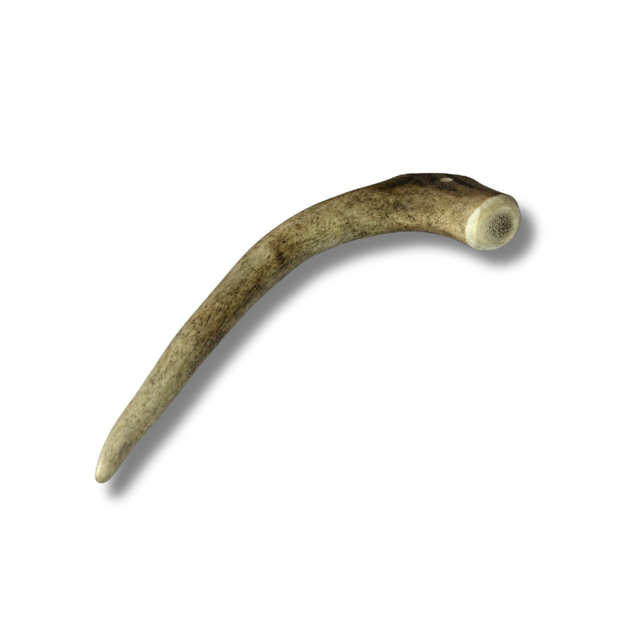 Whole Deer Antler - Extra-Long Chew for Dogs