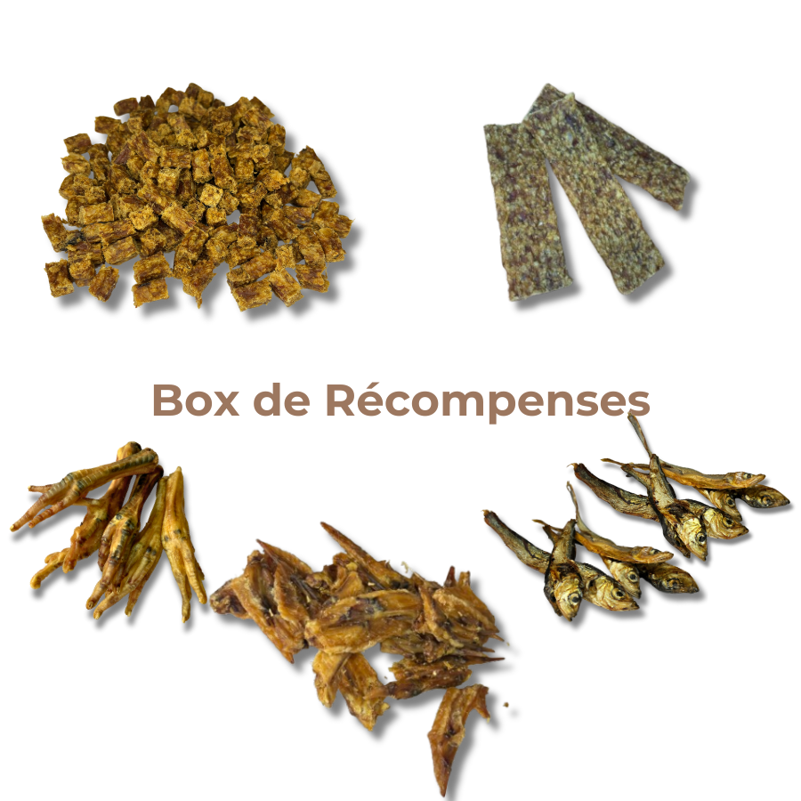 Box de Récompenses