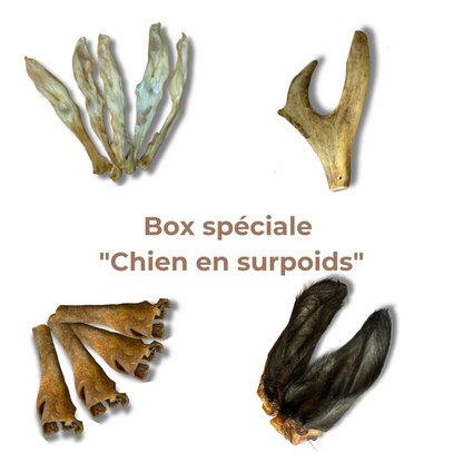 Box Spéciale "Chien en Surpoids"