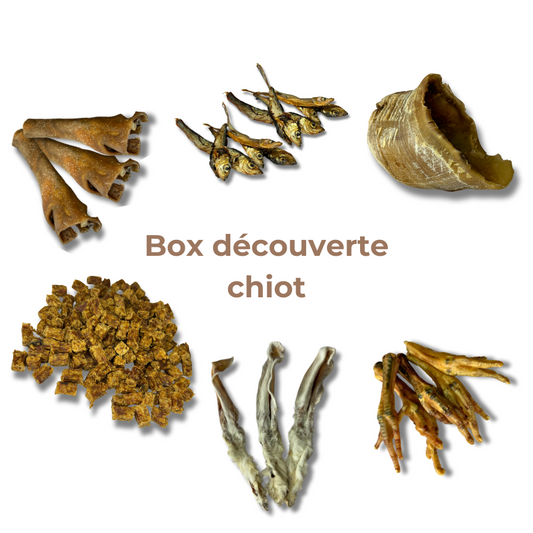 Box de Découverte pour Chiot - Mastications Naturelles