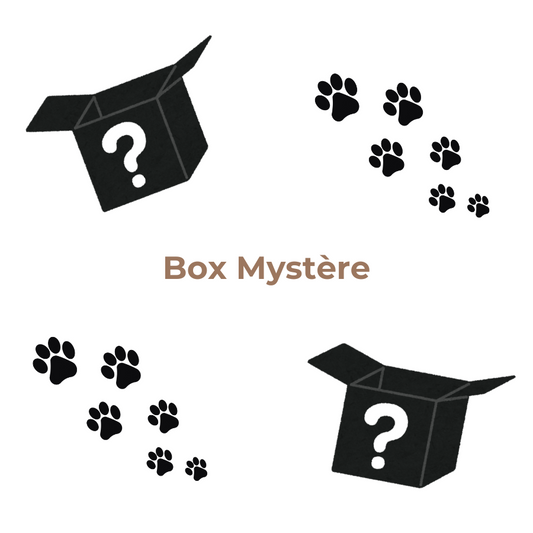 Box mystère 🎁