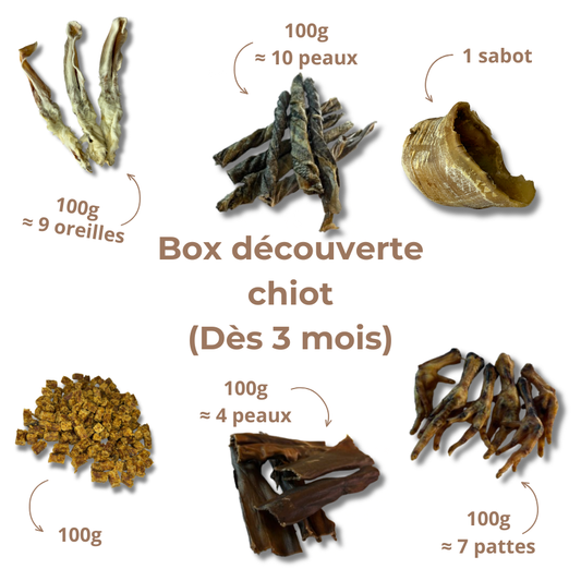 Box de mastication chiot – Dès 3 mois