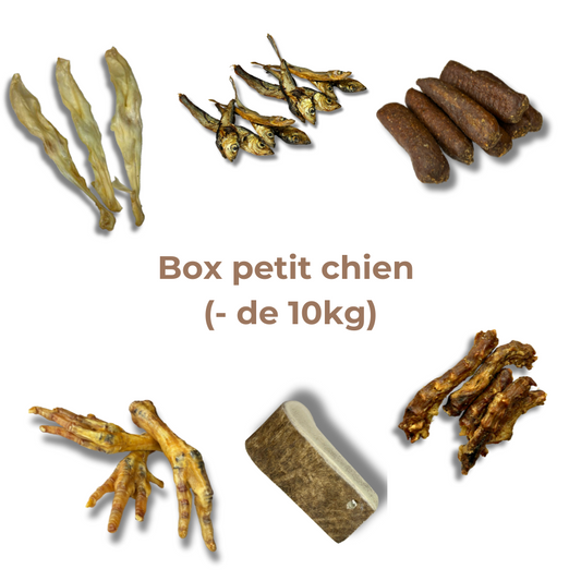 Box de mastication "Petit chien"