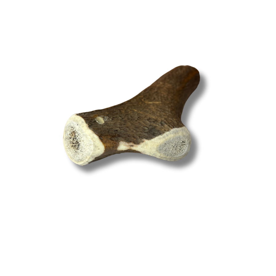 Bois de Cerf Entier – Mastication Robuste pour les Chiens Puissants