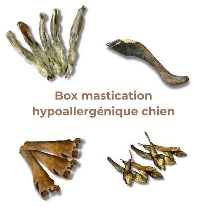 Box Mastication Hypoallergénique pour Chiens