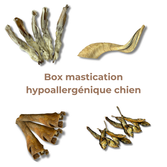 Box Mastication Hypoallergénique pour Chiens