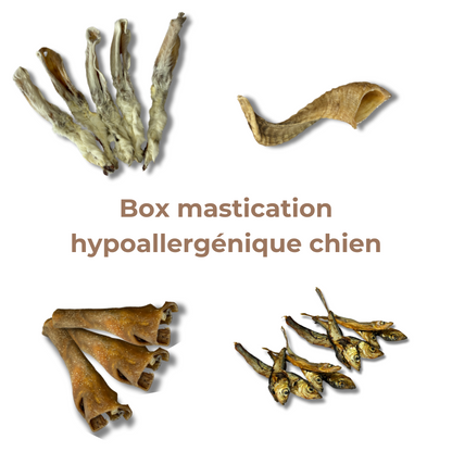 Box Mastication Hypoallergénique pour Chiens