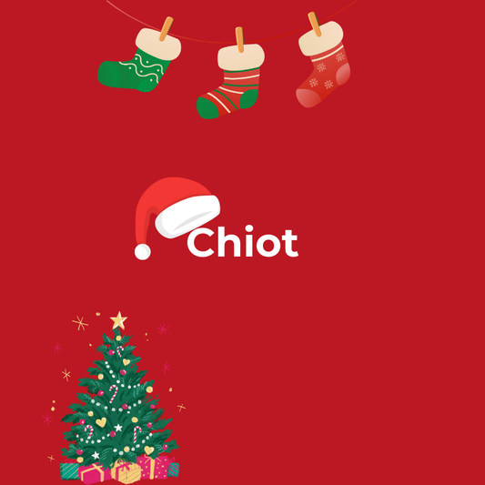 Box de Noël / Calendrier de l’Avent pour Chiot 🎅🏻