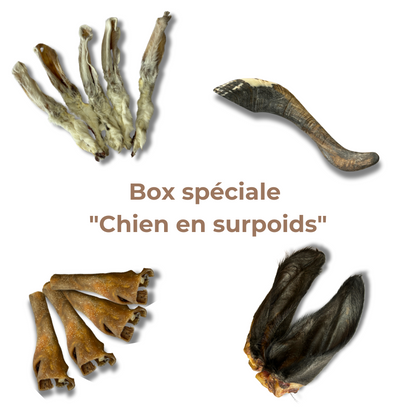 Box Spéciale "Chien en Surpoids"