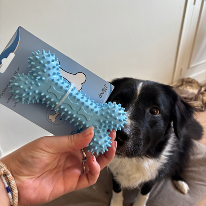 Box de Mastication Spéciale Chiot – Dès 2 Mois