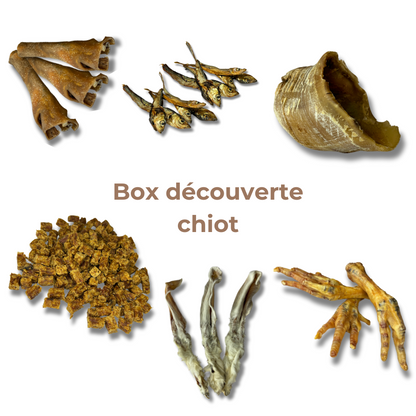 Box de Découverte pour Chiot - Mastications Naturelles