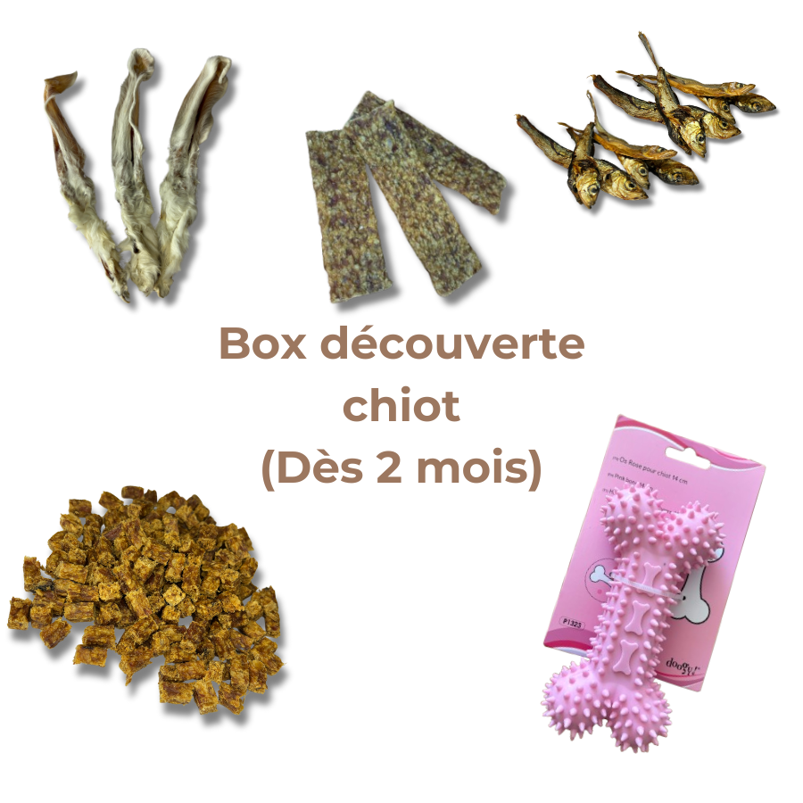 Box de Mastication Spéciale Chiot – Dès 2 Mois