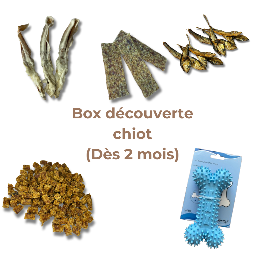 Box de Mastication Spéciale Chiot – Dès 2 Mois