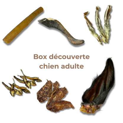 Natural Chew Discovery Box for Adult Dogs