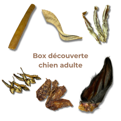 Natural Chew Discovery Box for Adult Dogs