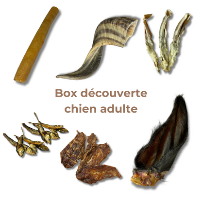 Natural Chew Discovery Box for Adult Dogs